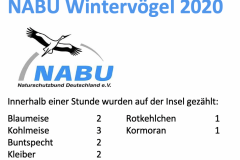 Wintervögel 2020